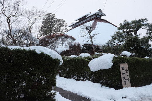 雪景色の大学校
