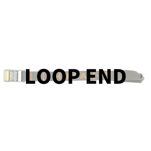 LOOP END