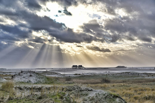 Fotokurs St. Peter-Ording, Fotowalk St. Peter-Ording, Fotokurs Sylt, Fotokurs Amrum, Fotoworkshop, Fotschule Nordsee, Fotokurs Nordsee