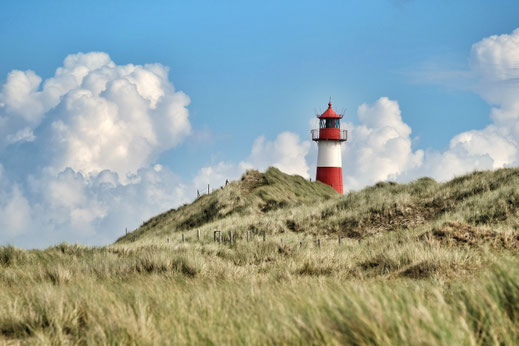 Fotokurs St. Peter-Ording, Fotowalk St. Peter-Ording, Fotokurs Sylt, Fotokurs Amrum, Fotoworkshop, Fotschule Nordsee, Fotokurs Nordsee
