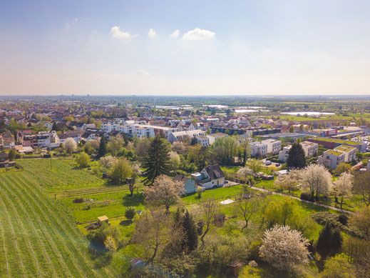 strukturreiches Randgebiet des Augustenbühls