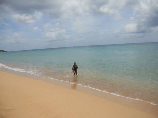 Plage de la Grande Anse, Deshaies