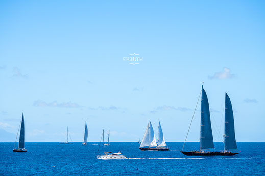 Buckettregatta 2019, Logo © Comité Territorial du Tourisme de Saint Barthélemy CTTSB