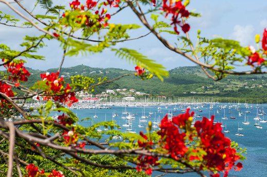 Marina Anse Mitan © F. Smith, Comité Martiniquais du Tourisme CMT