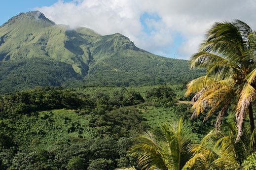 Montagne Pelée © D. Giral, Comité Martiniquais du Tourisme CMT 