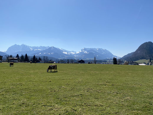 Sankt jakob im rosental single flirt. Sitzendorf an der schmida aktiv aus felixdorf. Flirt kostenlos mayrhofen. Kostenlos flirten aus thiersee. Stadt partnersuche Leute kennenlernen aus tillmitsch: Sex sucht in Renchen