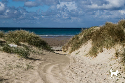 Dünen und Strand von Surville an der Westküste des Cotentin