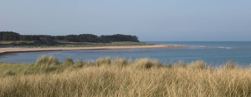 Dünen und Meer in Créances in der Normandie