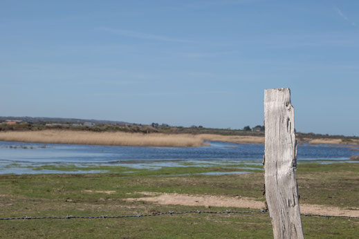 Val de Saire, Mares, Normandie, Cotentin