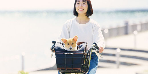 やーさん輪業｜ペットポーターアシスト｜丸石サイクル