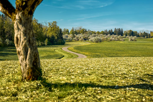 Frühlingswanderwege hinter dem Horizont