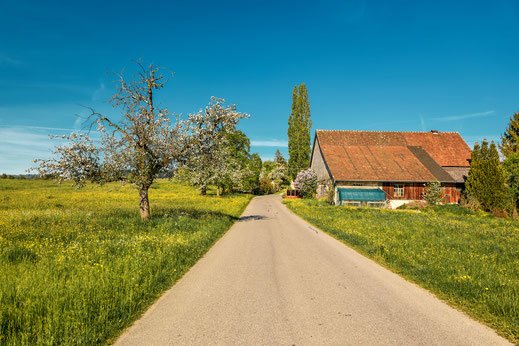 Strasse Frei für die Blueschtfahrt