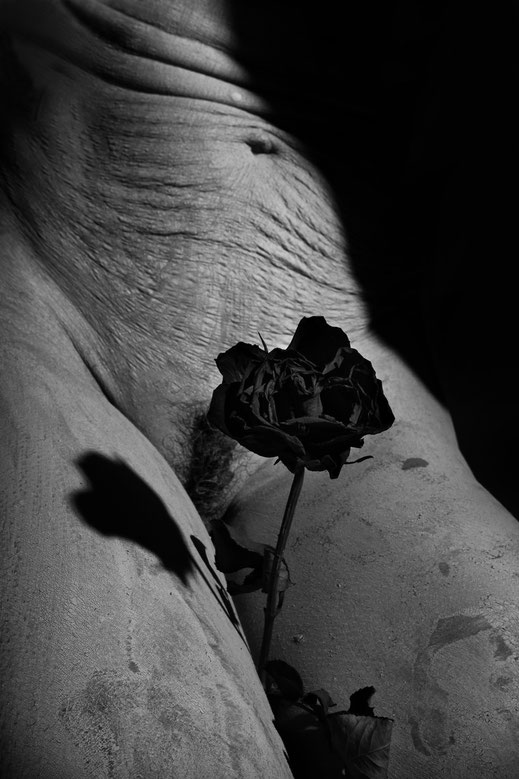 LA ROSE NOIRE I, 2016