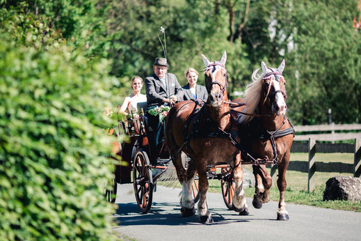 Hochzeitsfotograf Gießen