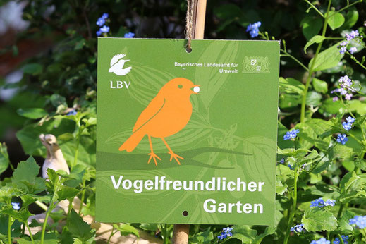 Vogelfreundlicher Garten | Foto Carola Bria