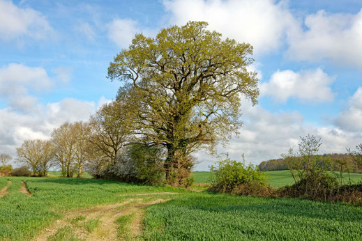 Pratjau (BHU: 7,03 m)