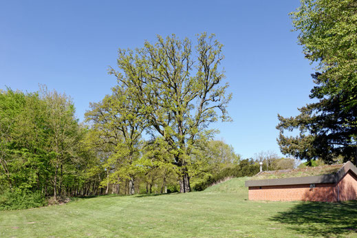 Borstel (BHU: 6,55 m)