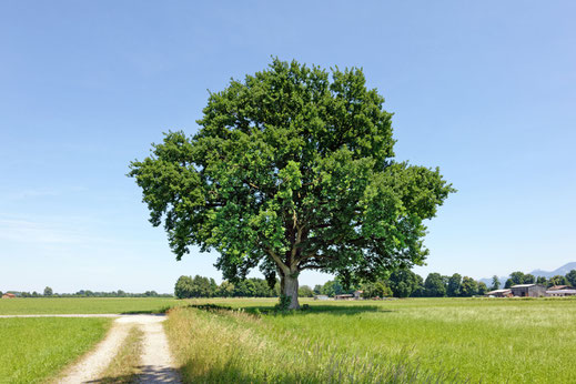 Raubling (BHU: 6,05 m)