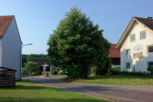 Friedenslinde in Schöneschach