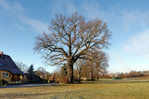 Teichnitz (BHU: 6,20 m)
