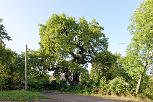 Weierhof (BHU: ca. 6 m)