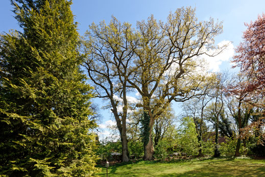 Gülzow (BHU: 6,45 m)