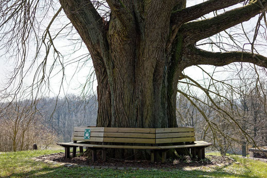 Burglinde in Fürsteneck