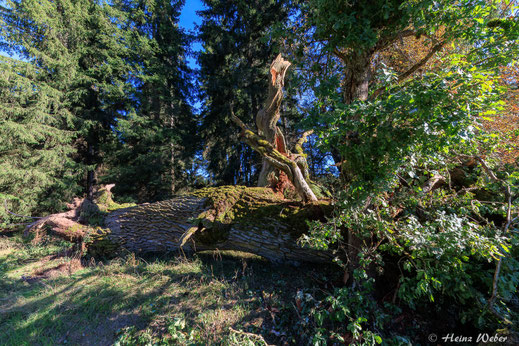 Foto von Heinz Weber