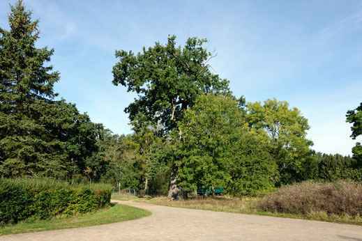 Klockow (BHU: 6,90 m)