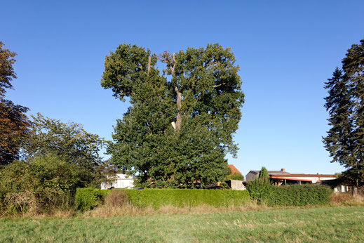 Passow (BHU: 6,47 m)
