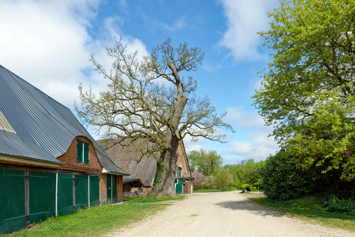 Bredeneek (BHU: 6,75 m)