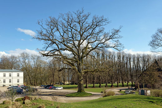 Gut Nehmten (BHU: 6,00 m)