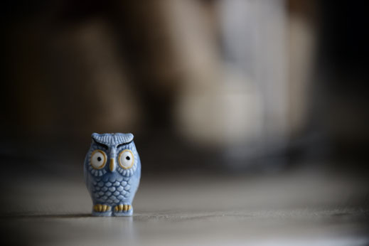 1-3) 200mm + 36mm 0.9m 1/125" f/2.8