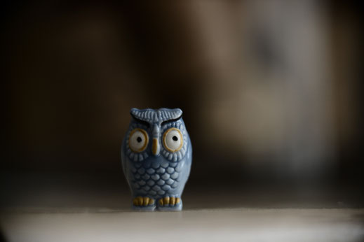 3-2) 200mm +36mm +20mm 0.79m 1/60" f/2.8