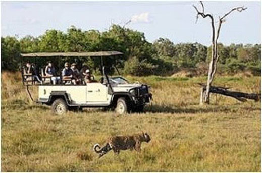 Safari mit der Familie Südafrika