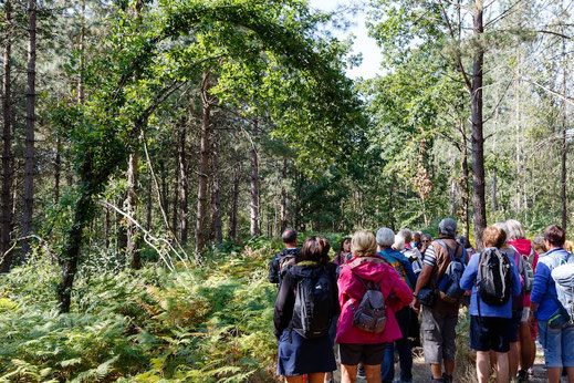 Visites groupes nature Touraine Val de Loire excursions randonnées