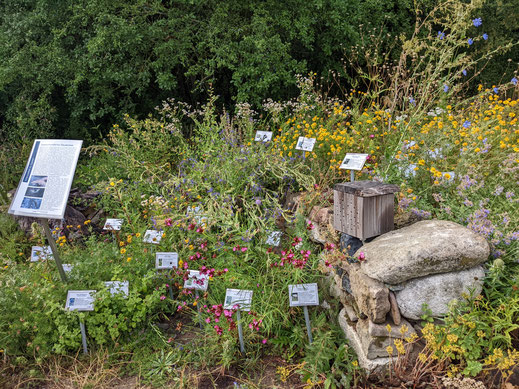 Kleinräumiges Insektenparadies für jeden Garten