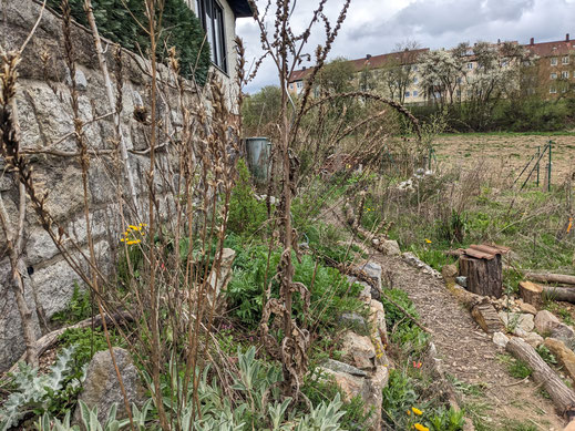 Stauden dürfen lange stehen, Garten von Christian B., Foto: V. Bauer