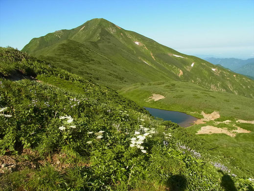 文平ノ池と大日岳
