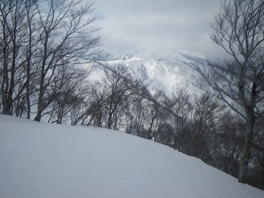 部子山へ伸びる尾根