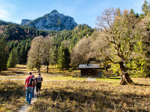 Wandergruppe in der Berglandschaft bei Schwangau im Allgäu, umgeben von Wiesen und Bergen