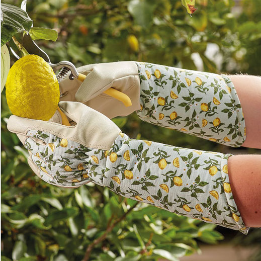 gants de jardinage 