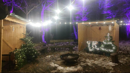 Winterhochzeit mit Lichterketten und lilafarbener Ambientebeleuchtung in Bühne