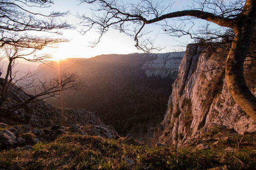 Morgenstimmung Creux du Van