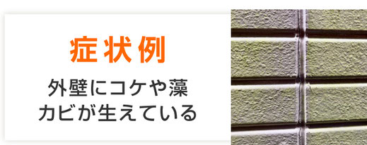 【バナー画像】外壁に苔コケ・藻・カビ｜塗替え時期を見極める外壁劣化症状
