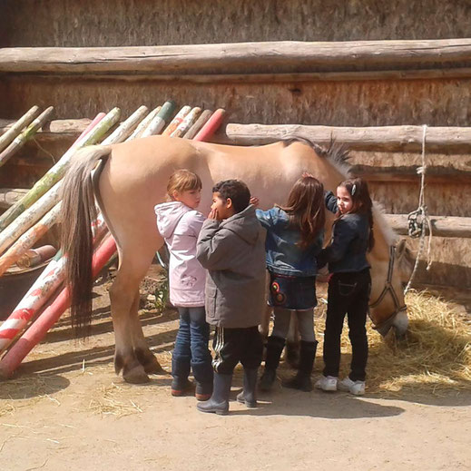 Enfants en stage qui brossent un poney