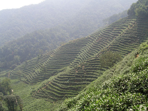 Bild: Shizhao [CC BY 1.0 (https://creativecommons.org/licenses/by/1.0)].**