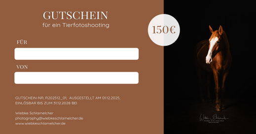 Gutschein Design Pferd 3