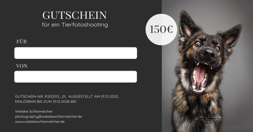 Gutschein Design Hund 3