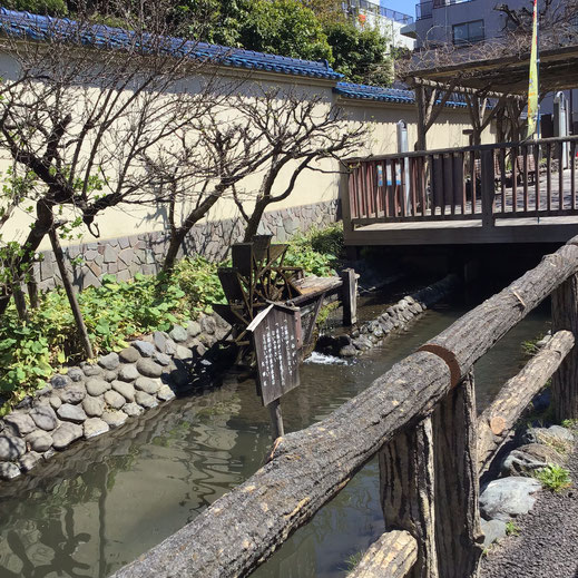 東光院じゃばらー実物